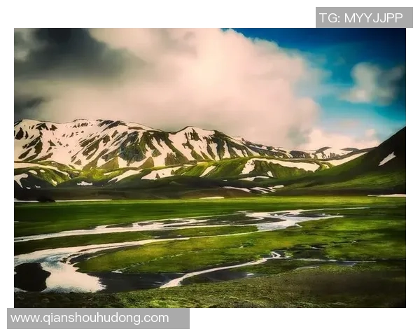 冰岛足球球星崛起之路 从寒冷小岛到国际赛场的传奇故事 冰岛足球球星崛起之路 从寒冷小岛到国际赛场的传奇故事